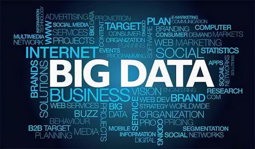 大数据与软件开发培训学费全解析 投入与回报的权衡