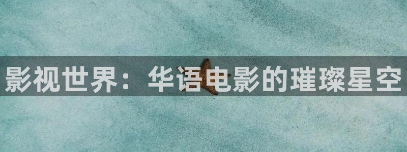 南瓜派：影视世界：华语电影的璀璨星空