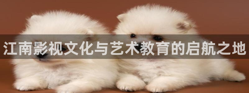 南瓜电影全部免费：江南影视文化与艺术教育的启航之地