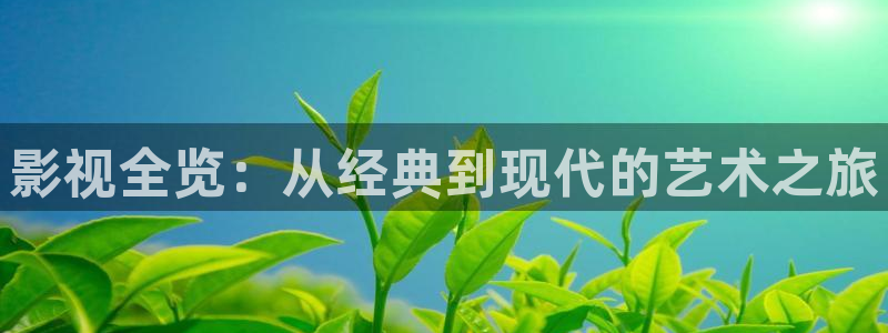 哈尔滨南瓜：影视全览：从经典到现代的艺术之旅