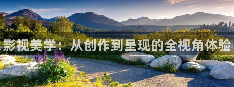 南瓜影视大全南瓜电影在线观看：影视美学：从创作到呈现的全视角体验