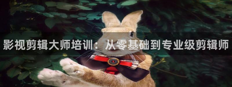 南瓜电影最新版：影视剪辑大师培训：从零基础到专业级剪辑师