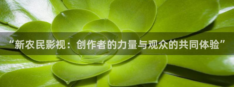 南瓜电影app下载：“新农民影视：创作者的力量与观众的共同体验”