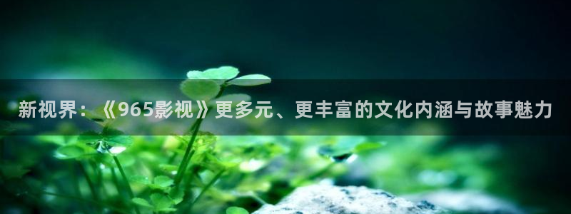 南瓜电影免费观看：新视界：《965影视》更多元、更丰富的文化内涵与故事魅力