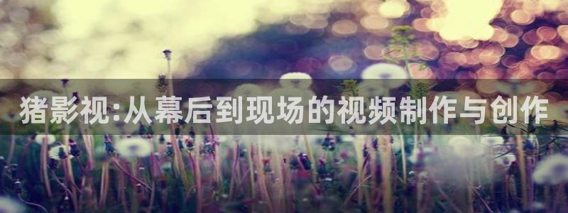 南瓜电子：猪影视:从幕后到现场的视频制作与创作