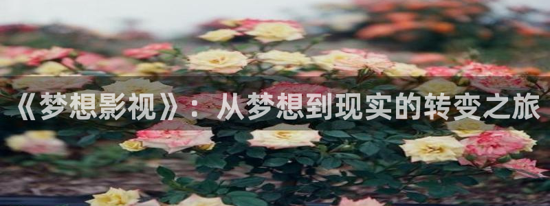 宁波南瓜：《梦想影视》：从梦想到现实的转变之旅