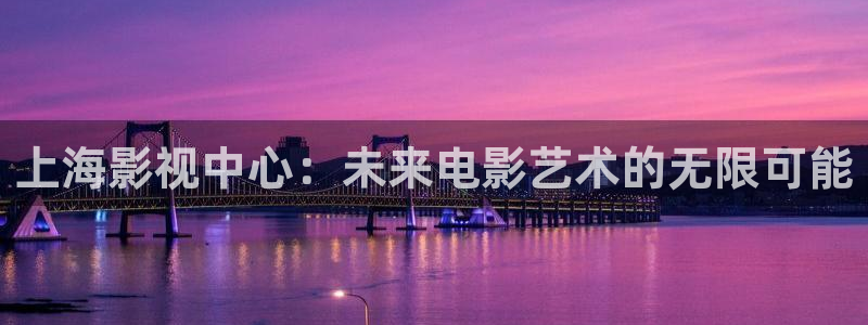 四川密本南瓜：上海影视中心：未来电影艺术的无限可能