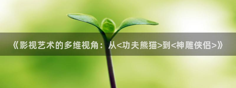 南瓜电影全部免费：《影视艺术的多维视角：从<功夫熊猫>到<神雕侠侣>》