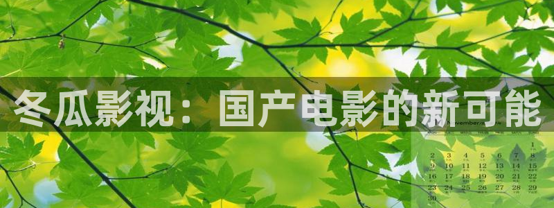 南瓜影院电视剧免费播放：冬瓜影视：国产电影的新可能