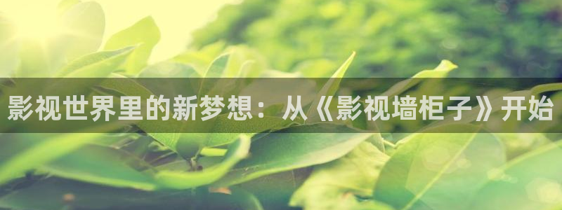 南瓜影视在线观看大全：影视世界里的新梦想：从《影视墙柜子》开始