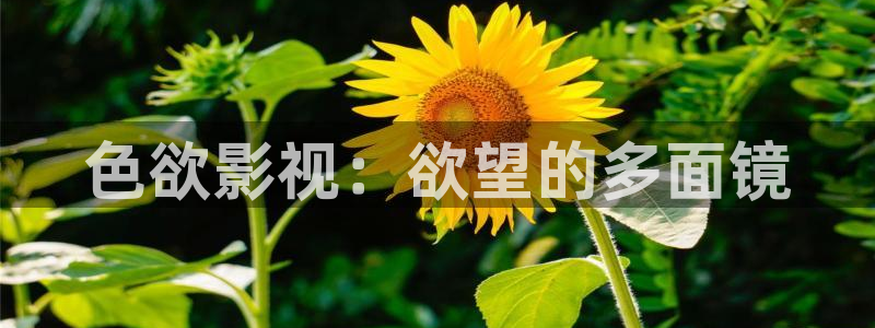 南瓜影视大全：色欲影视：欲望的多面镜